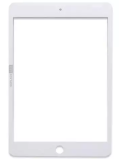 GLASS+OCA IPAD AIR 2